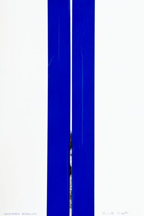 Vincent Cappelli - Unortodox Behaviour