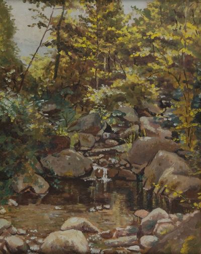 Ruscello nel Bosco