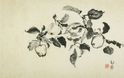 Frutti