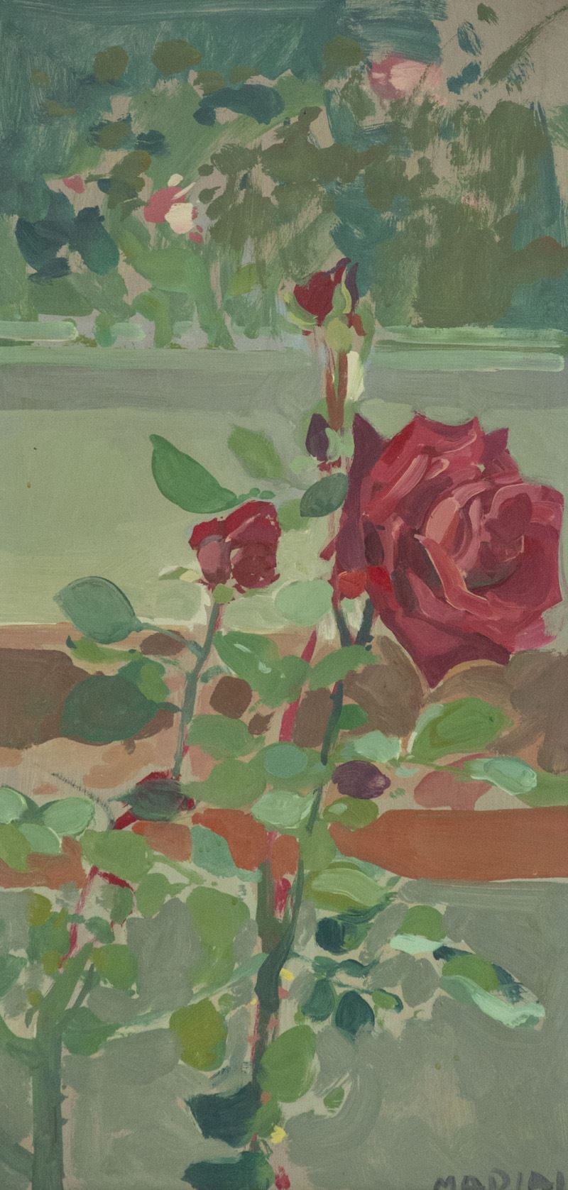 Mario Madiai - Rose