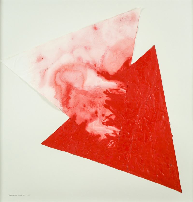 Stefano Turrini - Triangolo Rosso Organico