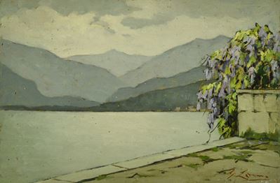 Glicine sul Lago Maggiore