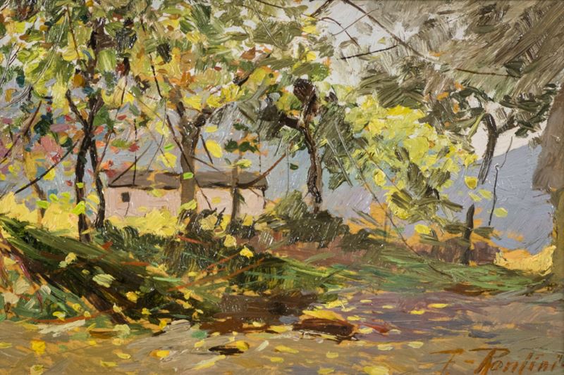 Ferruccio Rontini - Campagna