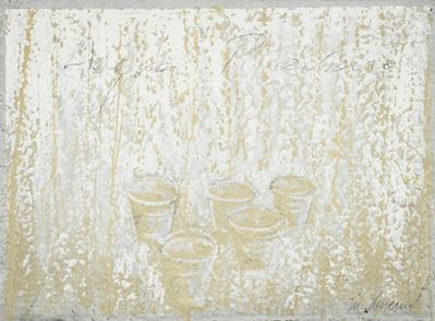 Acqua Piovana