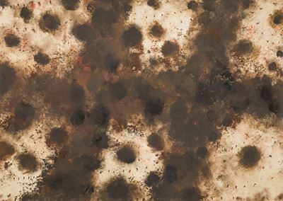 Paesaggio Dalmata