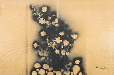 Fiori