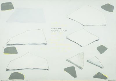 Studio per i Tappeti Volanti