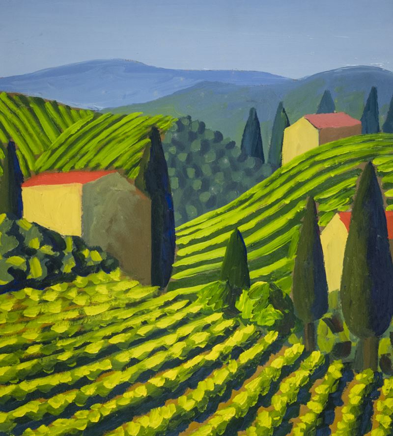Salvo - Vigneti