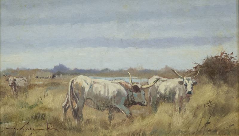 Masaniello Luschi - Buoi Maremmani