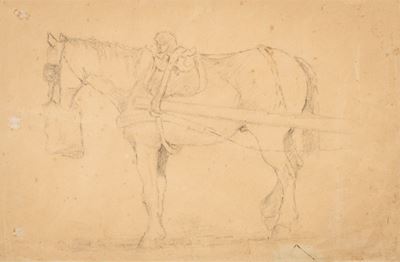 Cavallo a Riposo