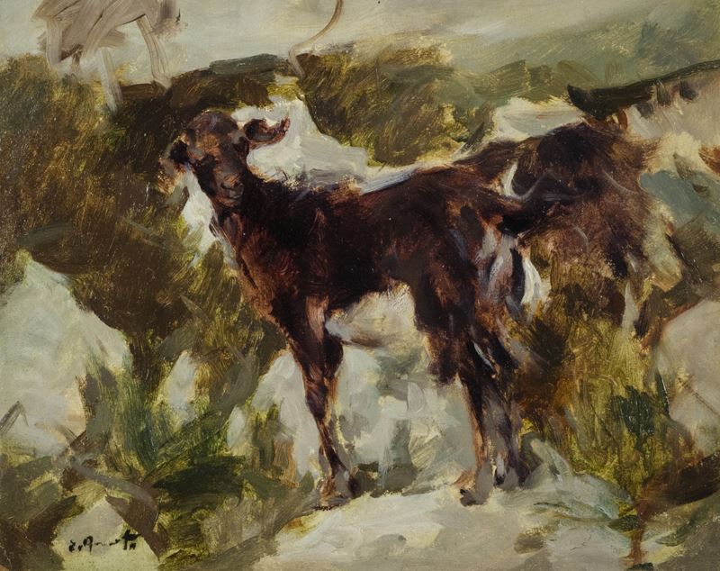 Ernesto Quarti Marchiò - Capretta al Pascolo