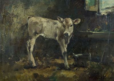 Vitello