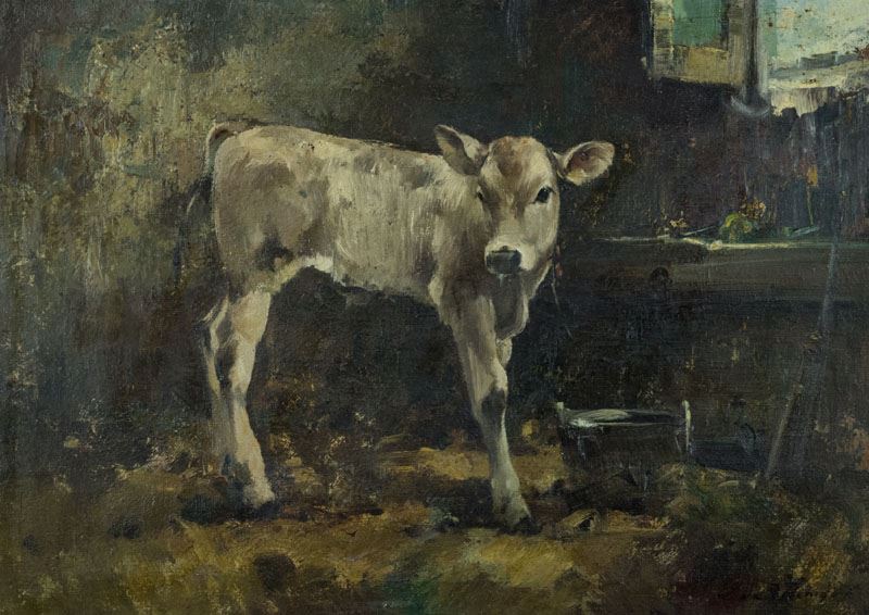 Giulio da Vicchio - Vitello