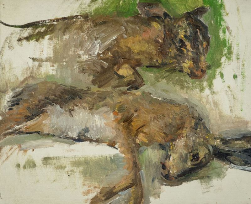 Cipriano Mannucci - Natura Morta