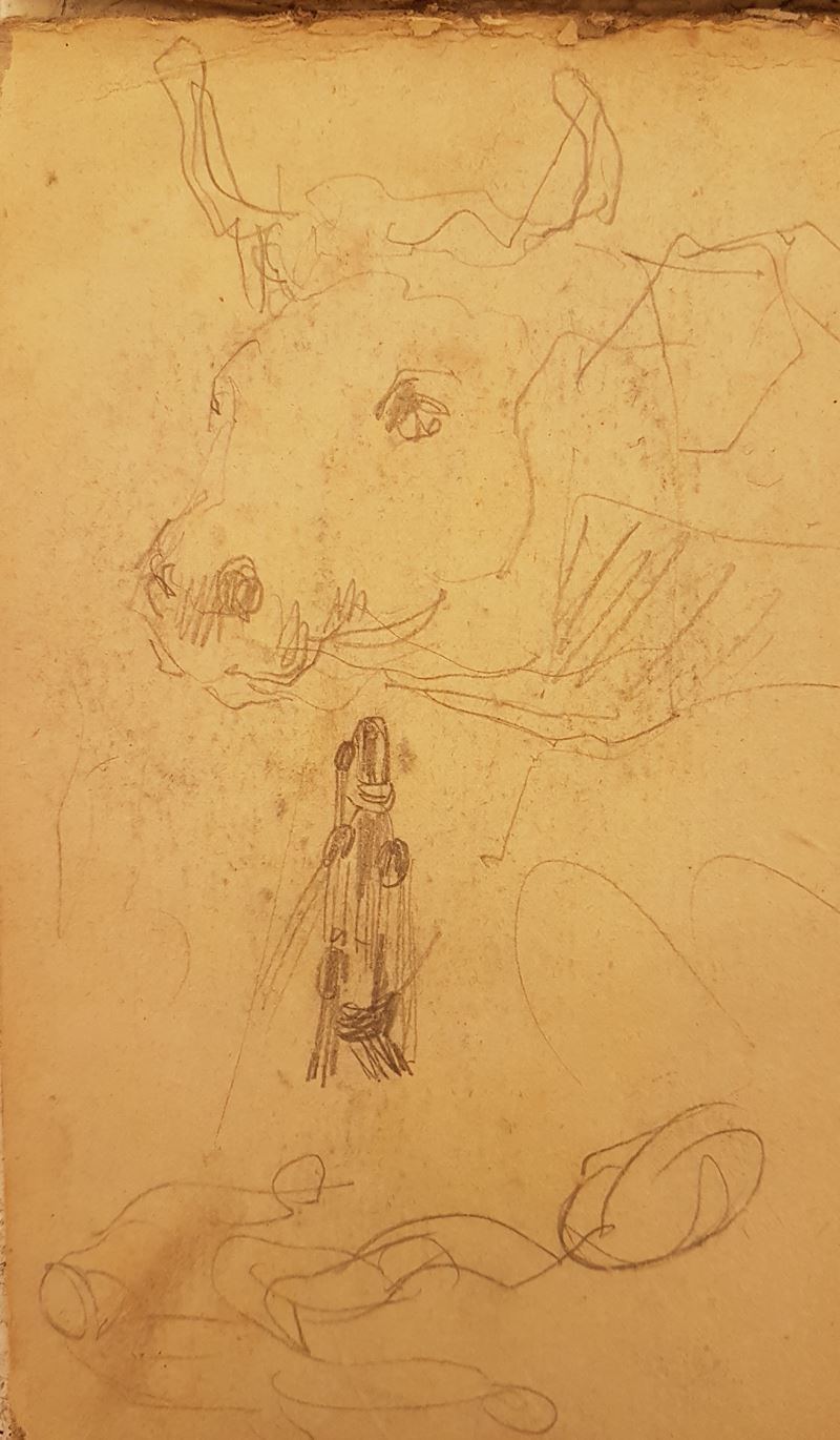 Lorenzo Viani - Studio Testa i Bue