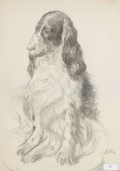 Cane