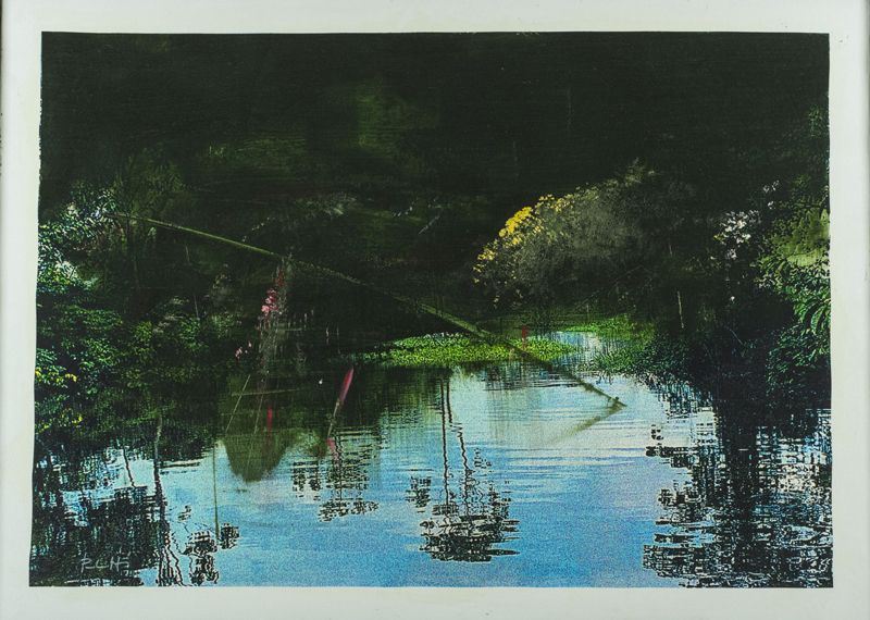 Antonio Pedretti - Da Azzurro Amazzonia