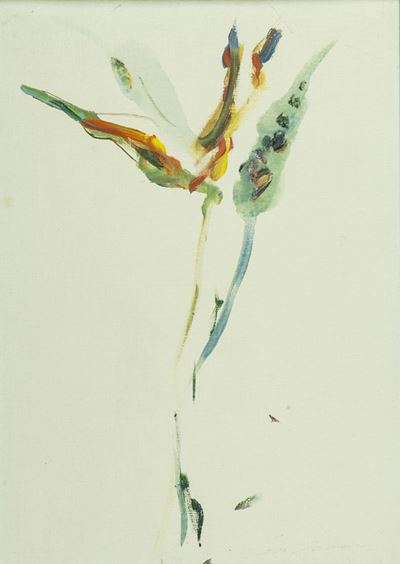 Fiori