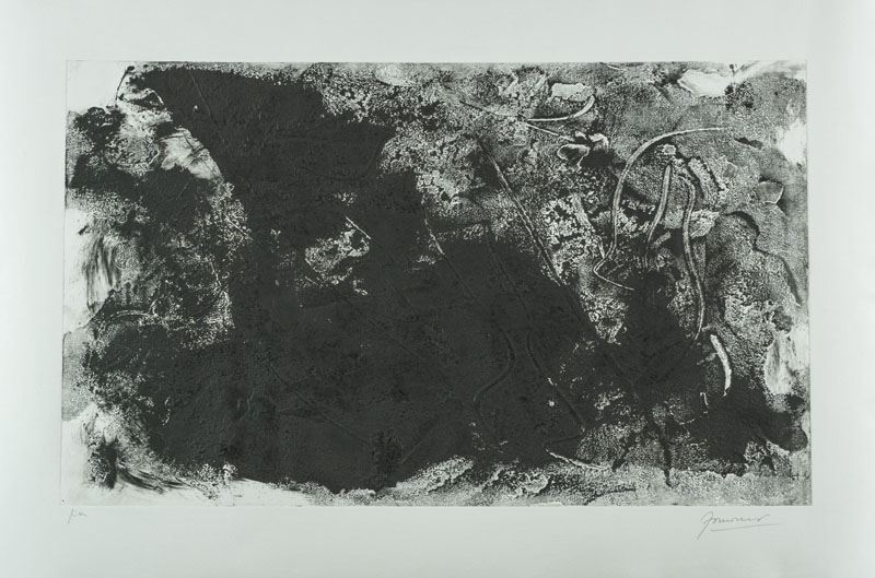 Gianni Fornaresio - Monocromo