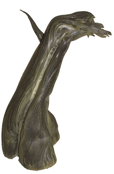 Albero