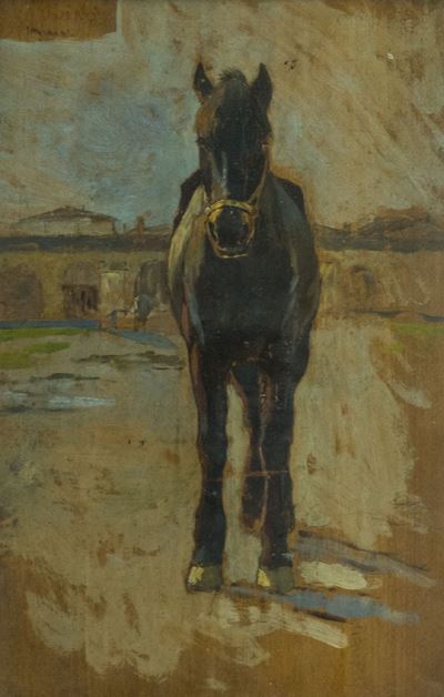 Cavallo