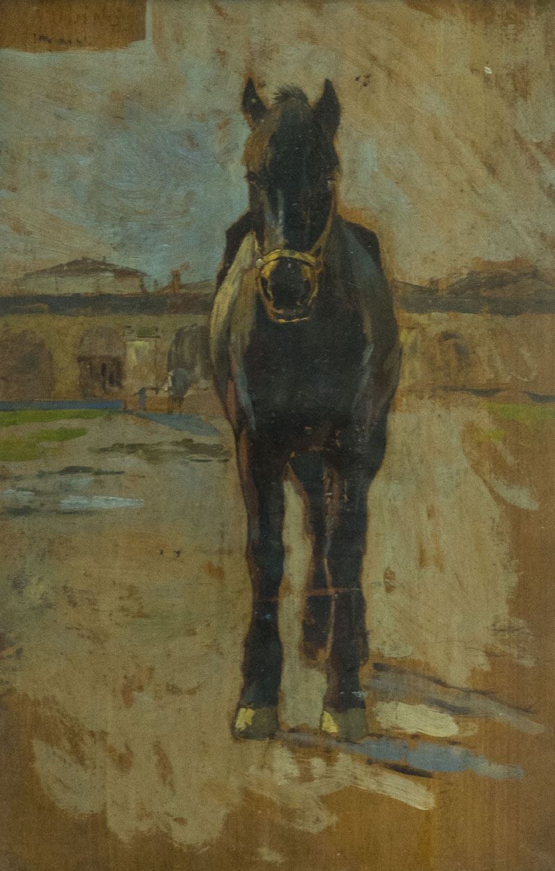 Guglielmo Micheli - Cavallo