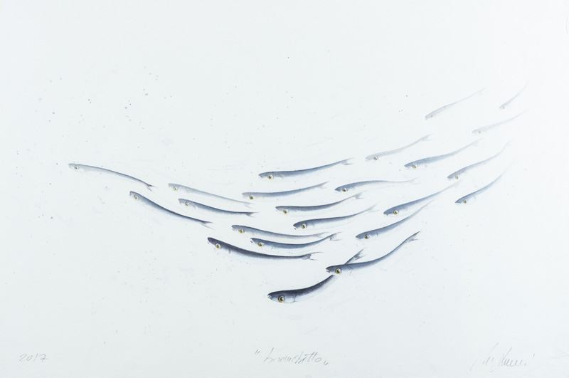 Lorenzo Lazzeri - Branchetto
