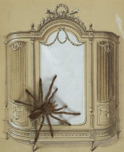 La Mygale Dans L'armoire