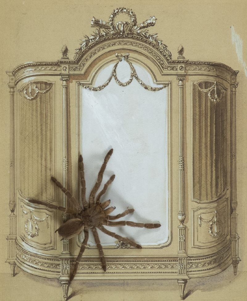 Daniel Spoerri - La Mygale Dans L'armoire