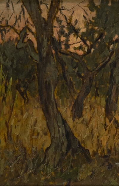 Tramonto tra gli Ulivi