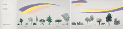 Un Viale di Alberi Diversi