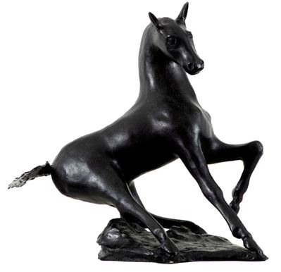 Cavallo