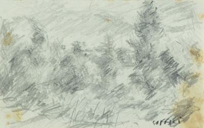 Paesaggio