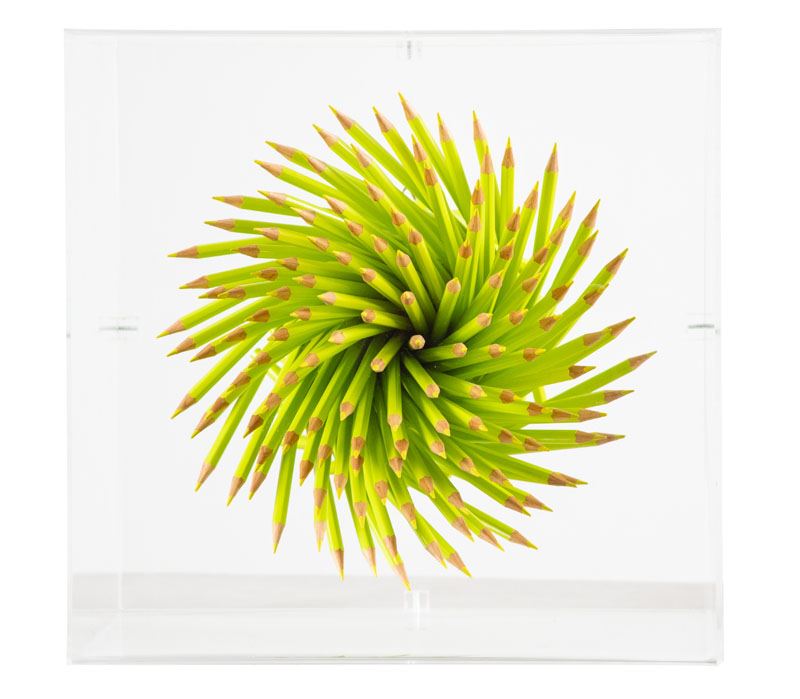 Paola Pezzi - Matita Giallo-limone