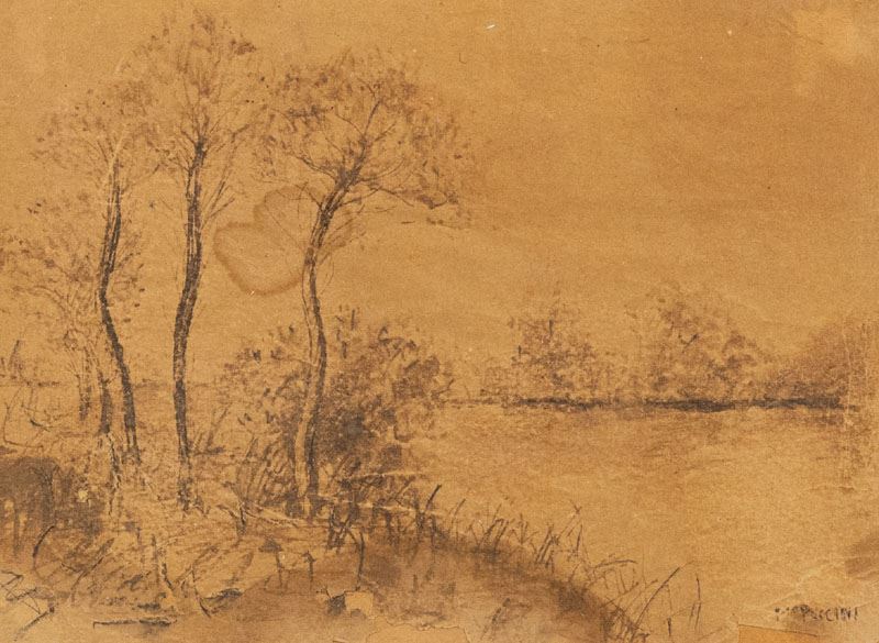 Mario Puccini - Paesaggio