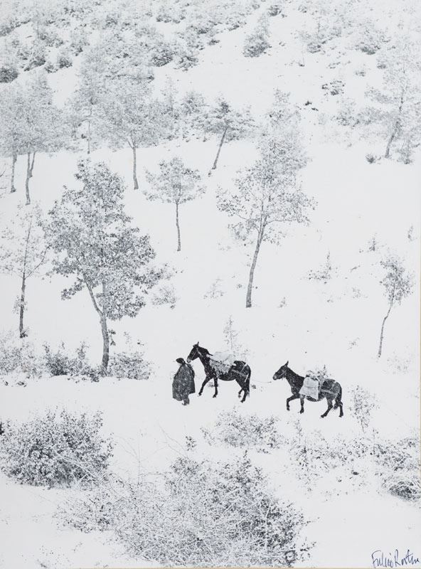Fulvio Roiter - Umbria