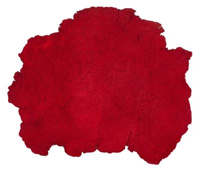 Pittura R