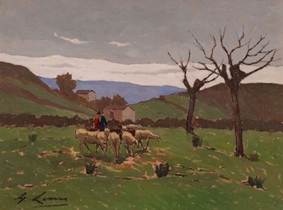 Maremma - Pascolo