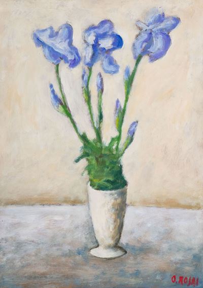 Iris