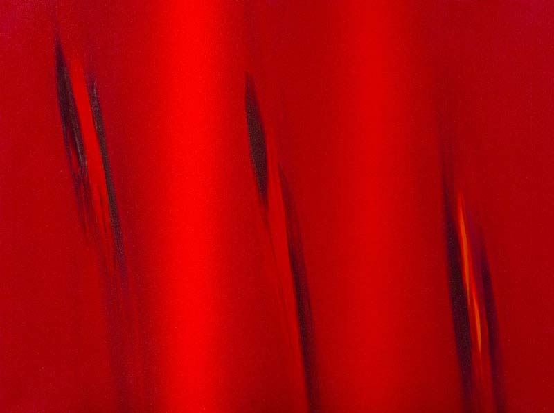 Ennio Finzi - Il Verso del Rosso