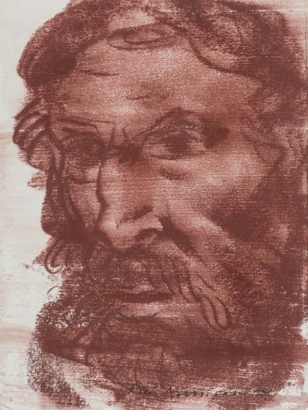 Pietro Annigoni - Volto Maschile