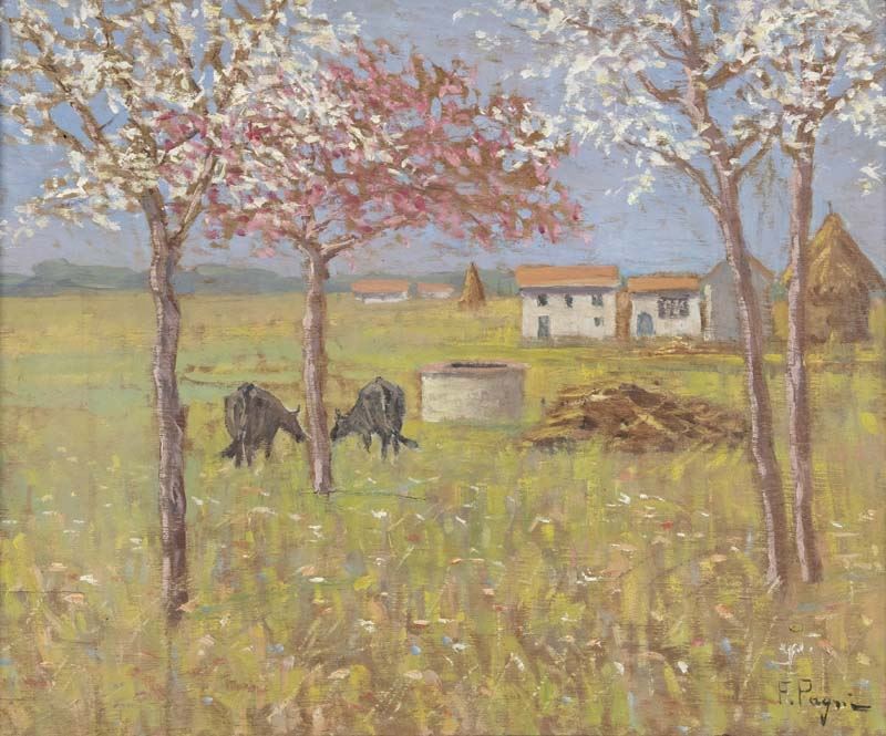 Ferruccio Pagni - Frutti in Fiore