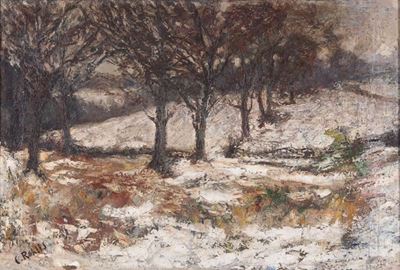 Bosco di Faggi