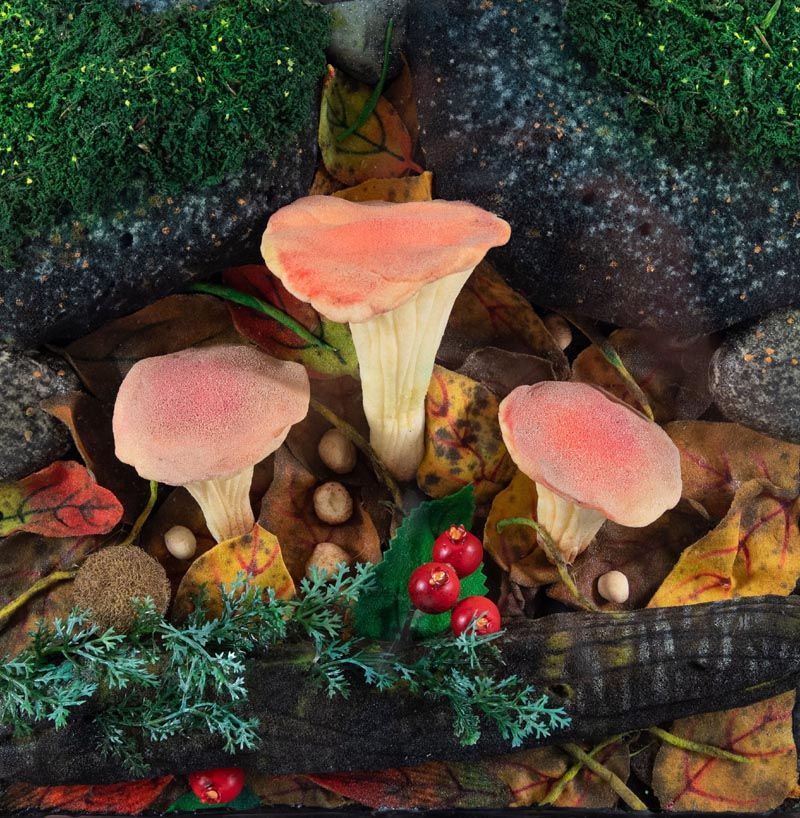 Piero Gilardi - Funghi Invernali