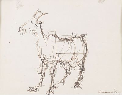 Capra