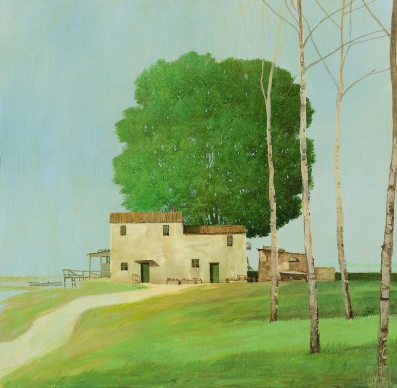 Alessandro Tofanelli - La Casa
