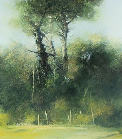 Pineta alla Versiliana