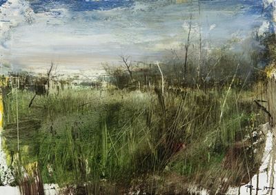 Paesaggio Palustre