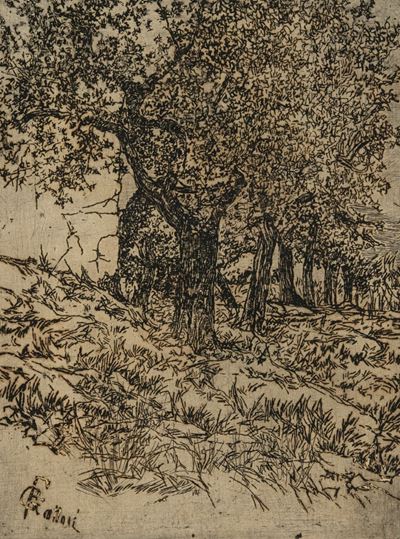 Alberi