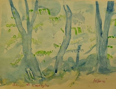 Bosco di Corniglio